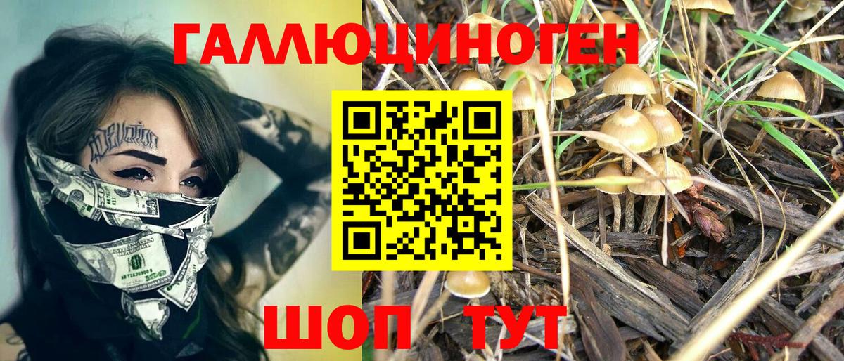 Псилоцибиновые грибы ЛСД  Вход с VPN  Златоуст 